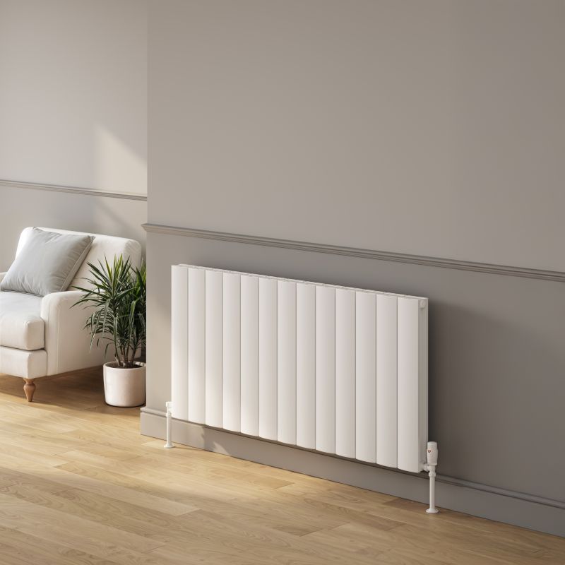 Reina Loco Horizontal Double Designer Radiator