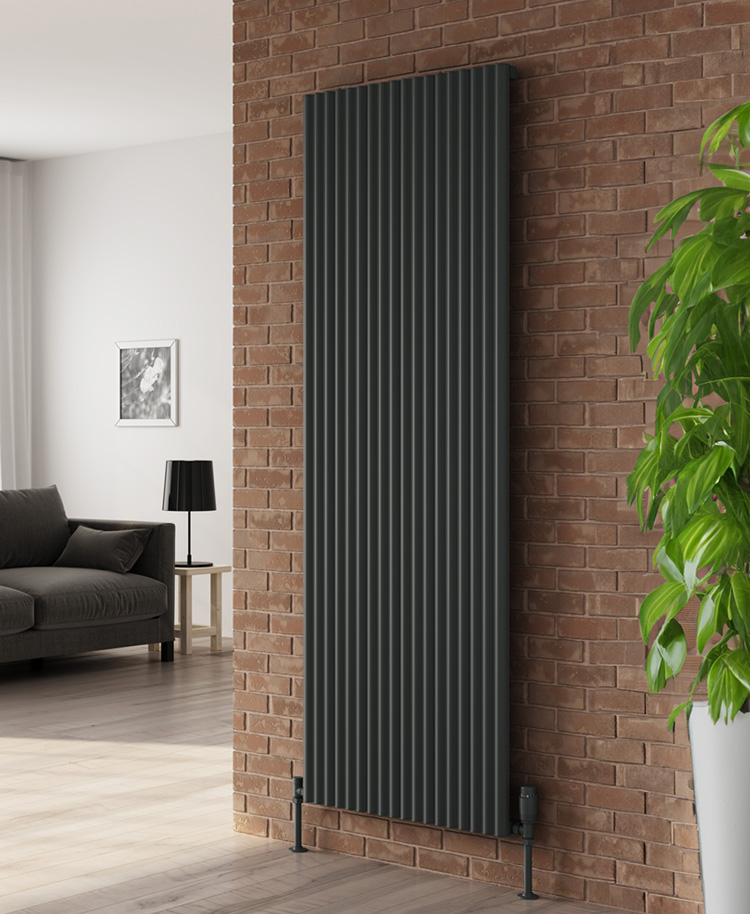 Reina Delia Designer Radiator